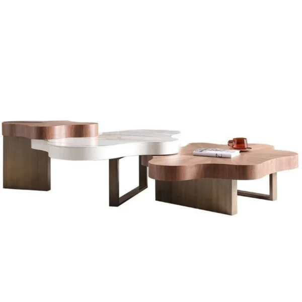 Elegant Trio: Modern Coffee Table Set - 160*100*40CM - Brown and White - Image 2
