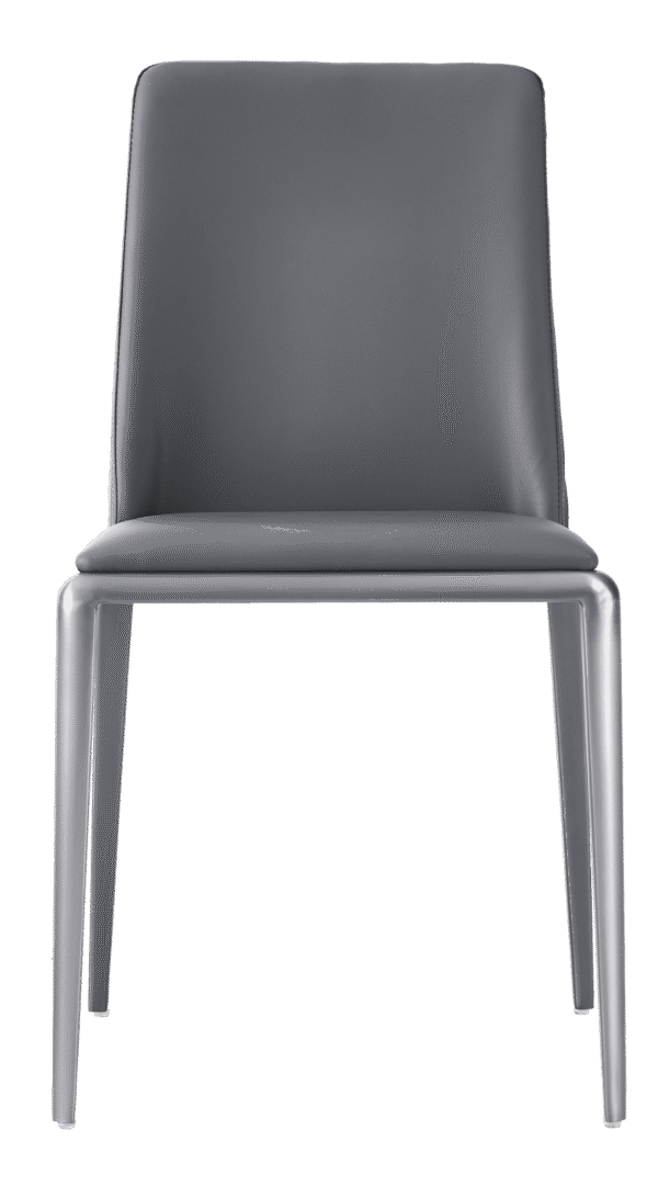 Modern Style Dining Chairs With Leather And Stainless Steel