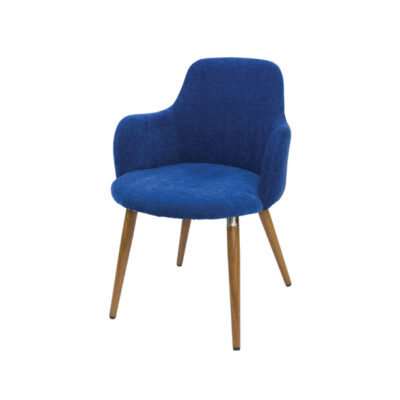 Customize Dining Chair