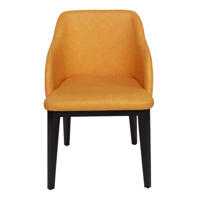 Modern Desgin Readymade Dining Chair