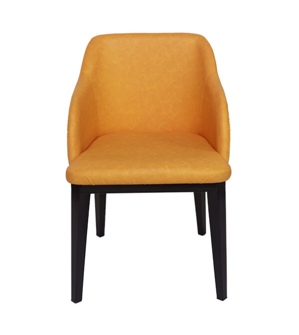 Modern Desgin Readymade Dining Chair
