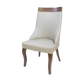 Elegant Dining Chair