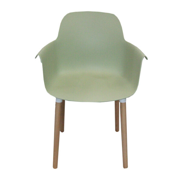 Dining Chair with Wooden Leg- Green JP1267C - Image 3