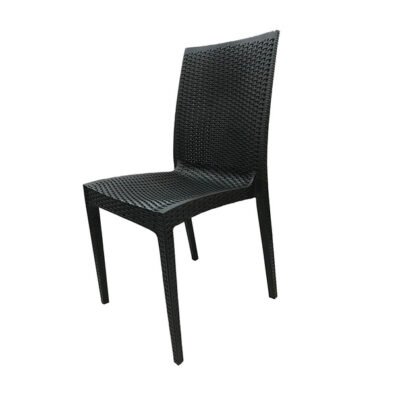 Fiber Plastic Indoor/Outdoor Chair JP1336