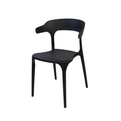 Polypropylene Indoor/outdoor Chair