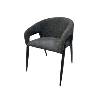 Luxury Dining Chair with Metal Frame