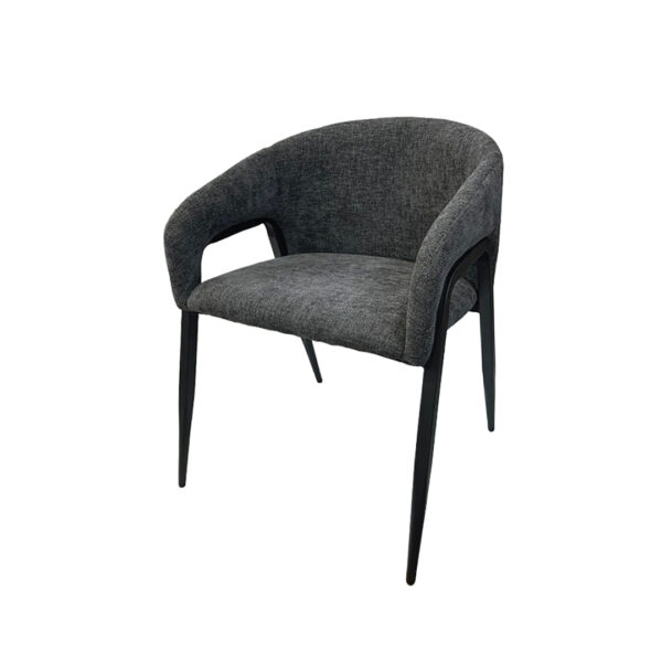 Luxury Dining Chair with Metal Frame