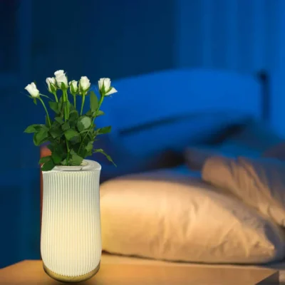 2 in 1 Table Lamp & Flower Vase - Line Design