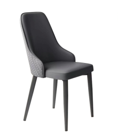 Stylish Modern Dining Chair