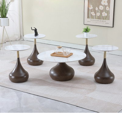 Elegant Modern Coffee Table Set