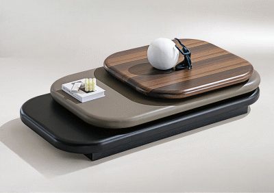 Elegant Modern Coffee Table