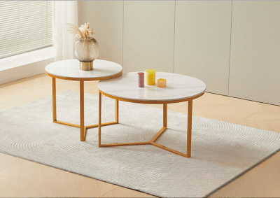 Minimalist Marble Coffee Table Set