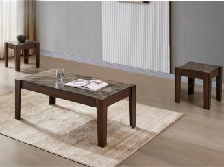 Elegant Marble-top Coffee Table Set